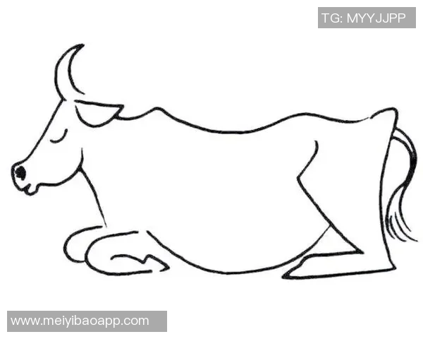 如何绘制贝利这位足球明星的艺术作品技巧与步骤解析